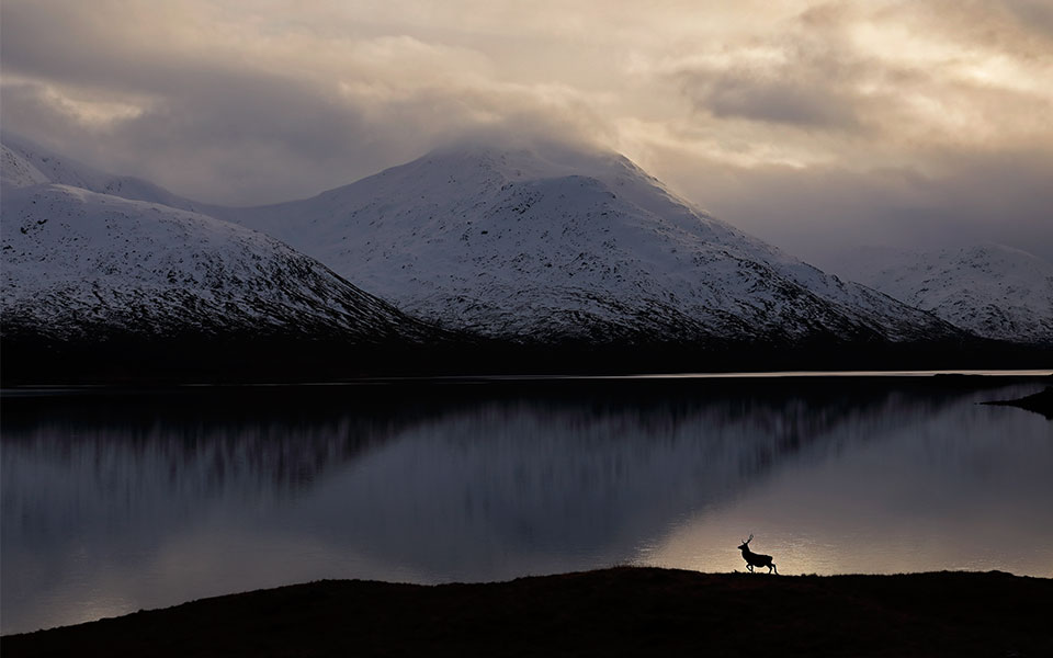 British Wildlife Photographer Awards: Η φύση της Βρετανίας σε όλο της το μεγαλείο-2