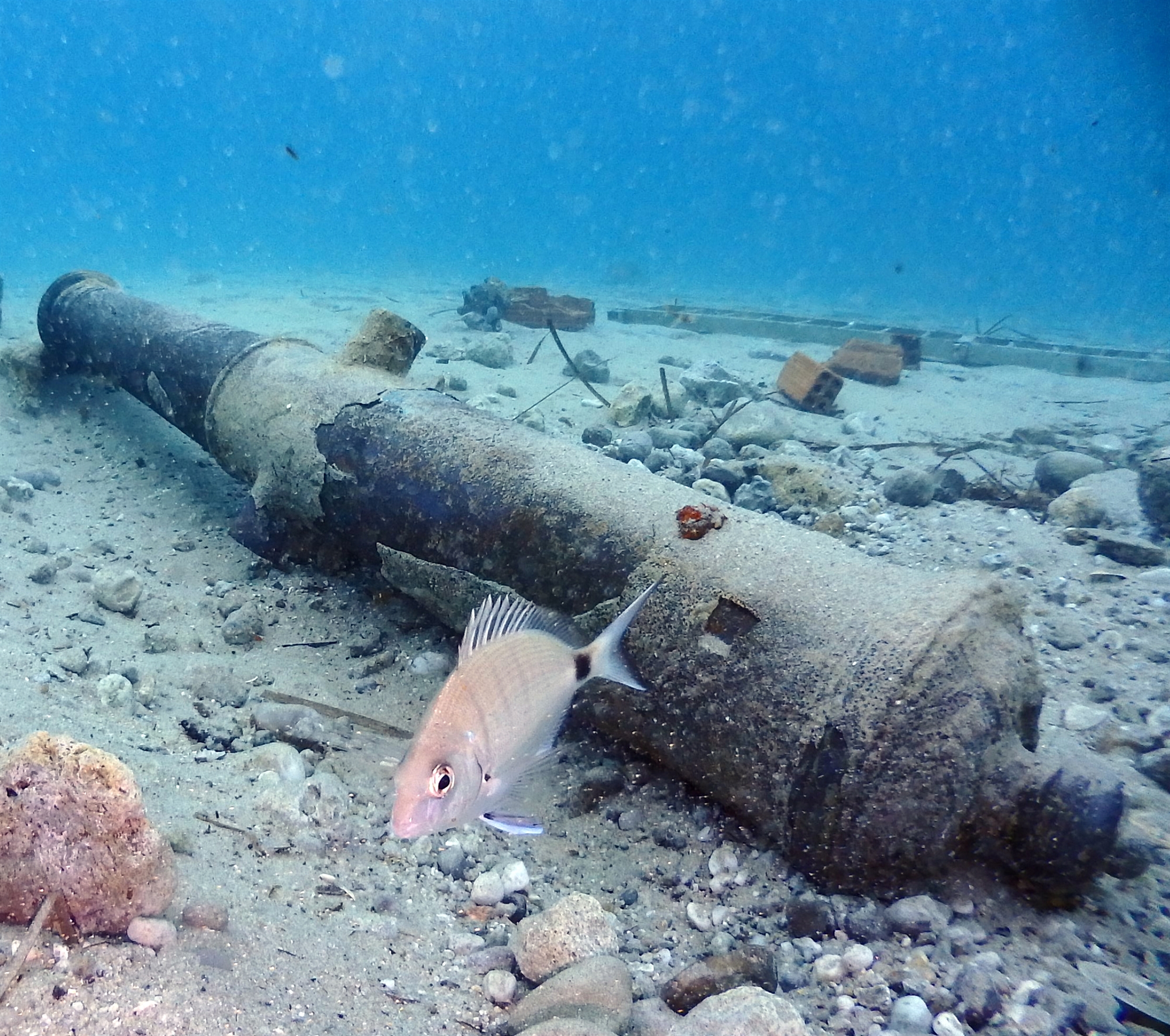 Οι 1.000 αρχαίοι τάφοι της Χαλκιδικής-5