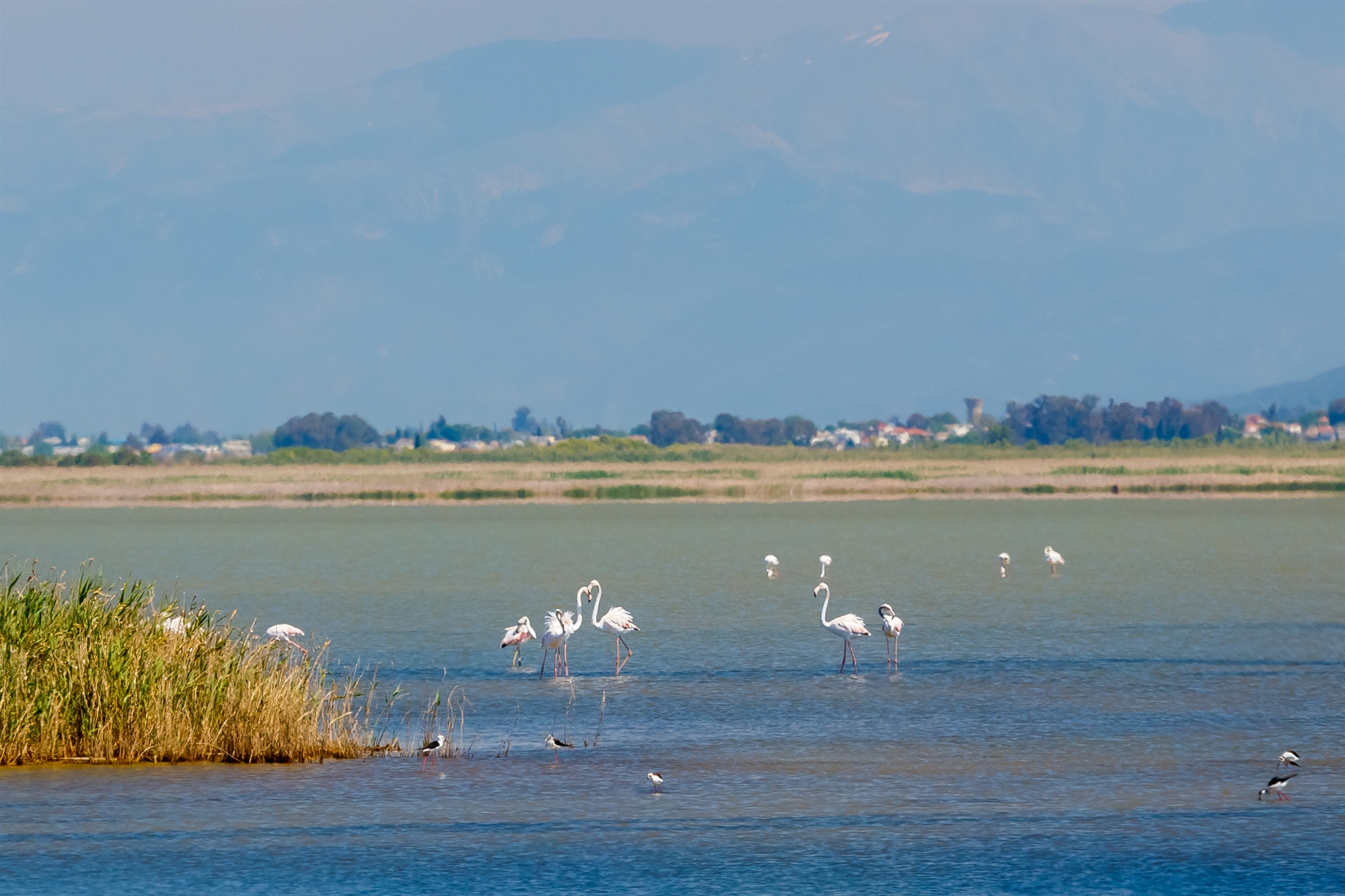 υπ-περιβάλλοντος-φωτογραφικές-δια-562317304