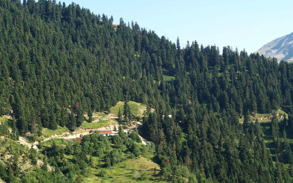 διαρκής-εγρήγορση-για-το-περιβάλλον-562333933