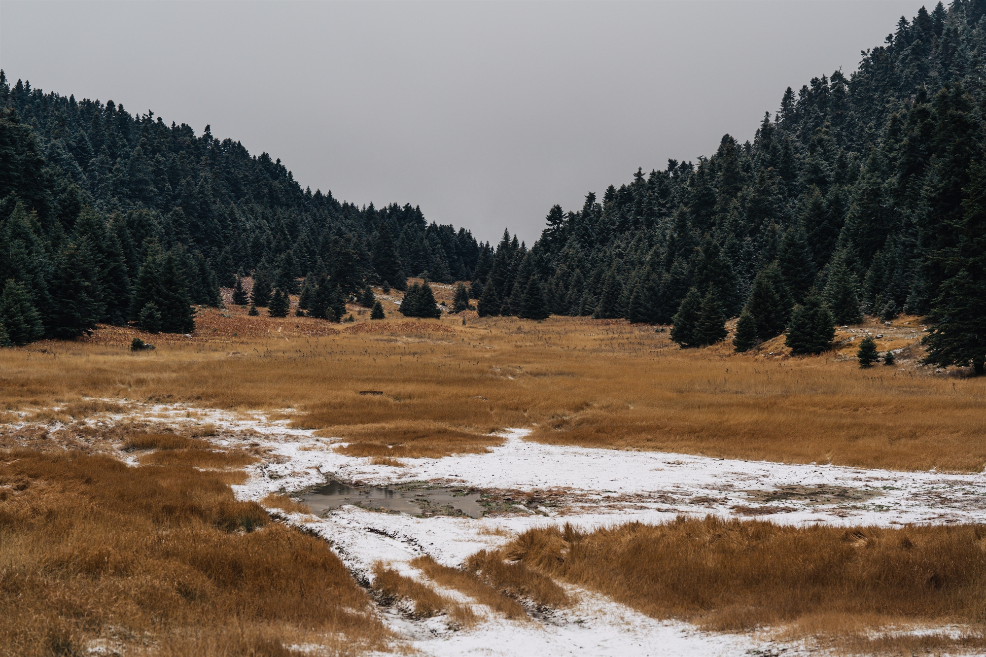 πώς-θα-είναι-μια-ζωή-χωρίς-χειμώνα-562306303