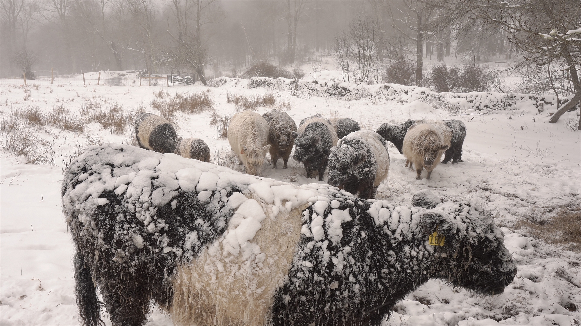 Η «Κ» στην 8η Μπιενάλε Θεσσαλονίκης: Ο πλανήτης στο επίκεντρο-1
