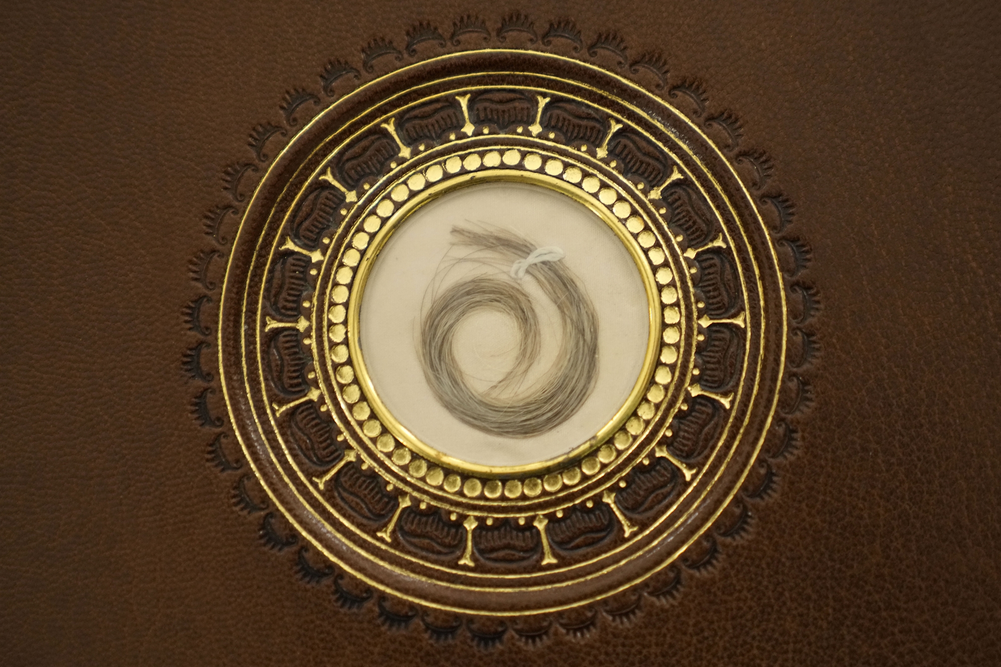 τα-αίτια-θανάτου-του-μπετόβεν-562337218