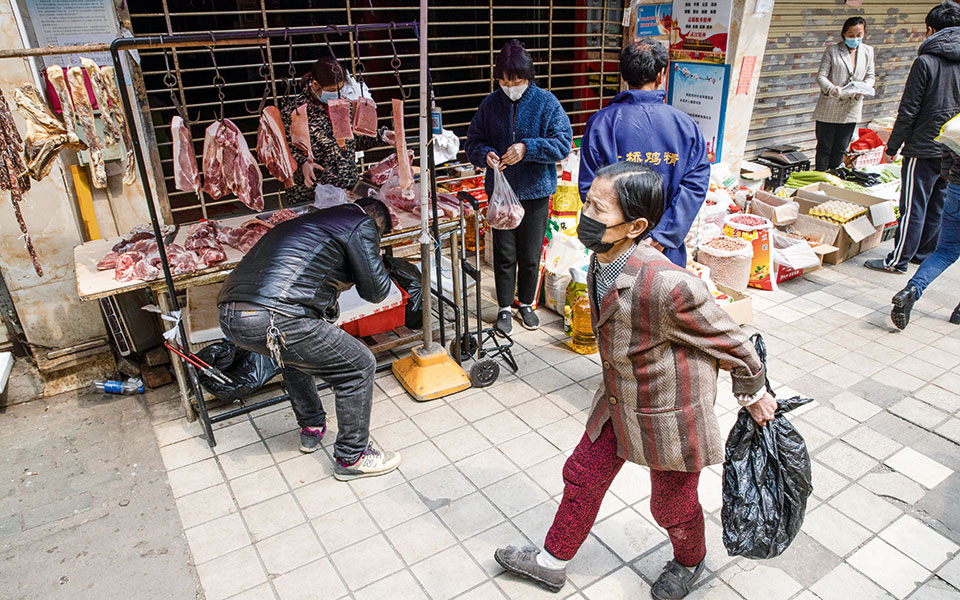 Οι σκύλοι ρακούν μετέδωσαν τον κορωνοϊό;-1