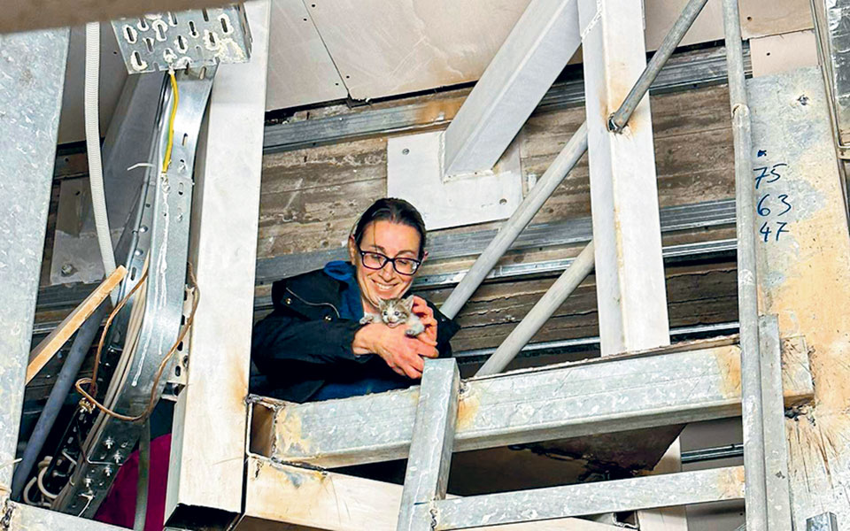 ματάκι-το-γατί-που-διασώθηκε-από-σωλ-562342855