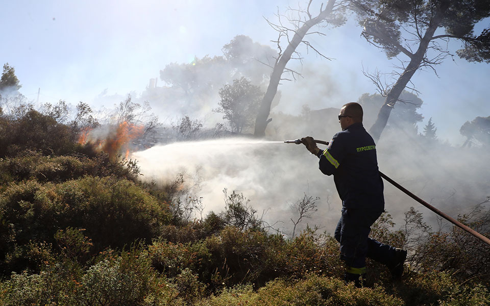 φωτιά-σε-δασική-έκταση-στο-πήλιο-562347451