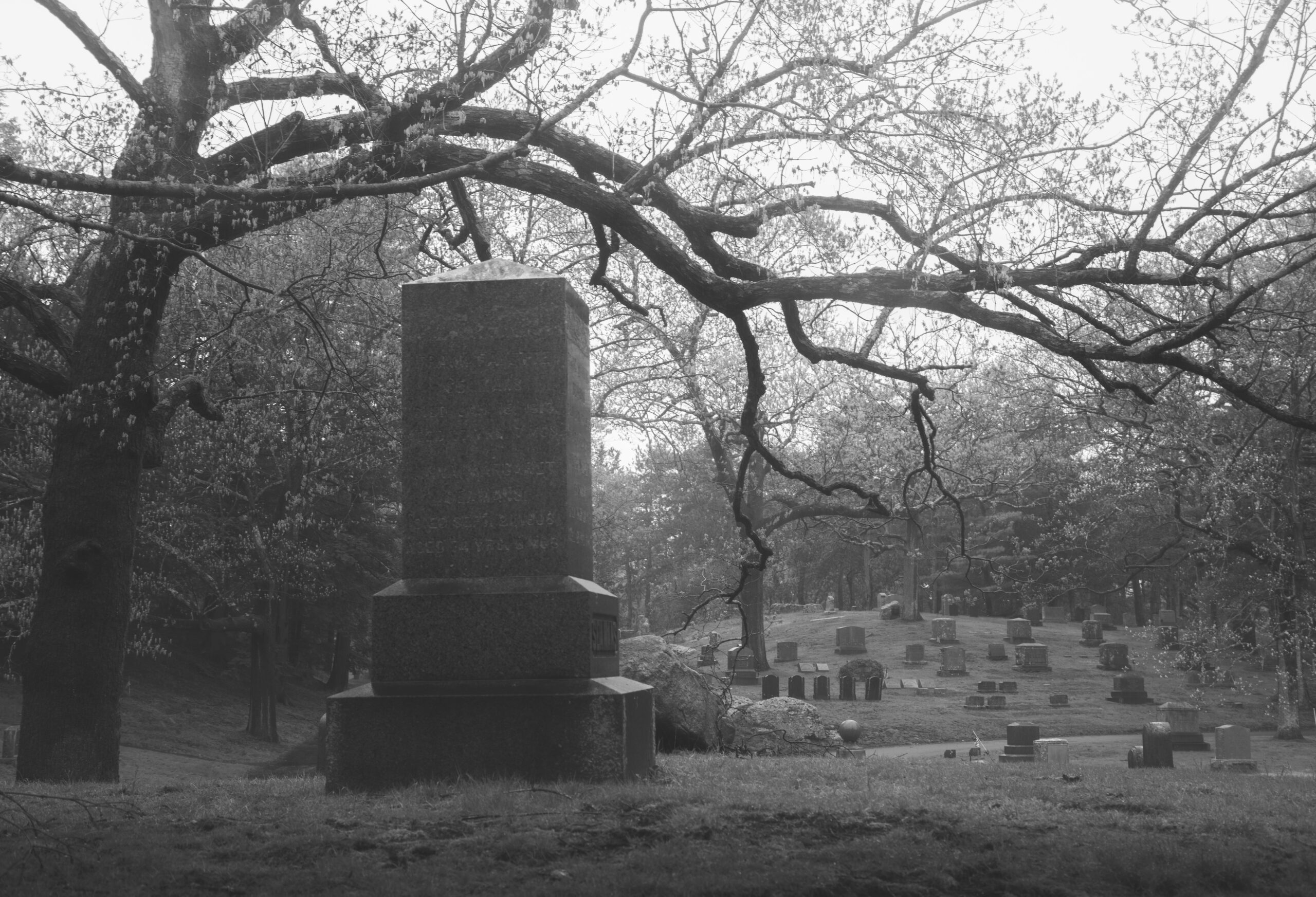 βραζιλία-γυναίκα-κακοποιήθηκε-και-έμ-562348867