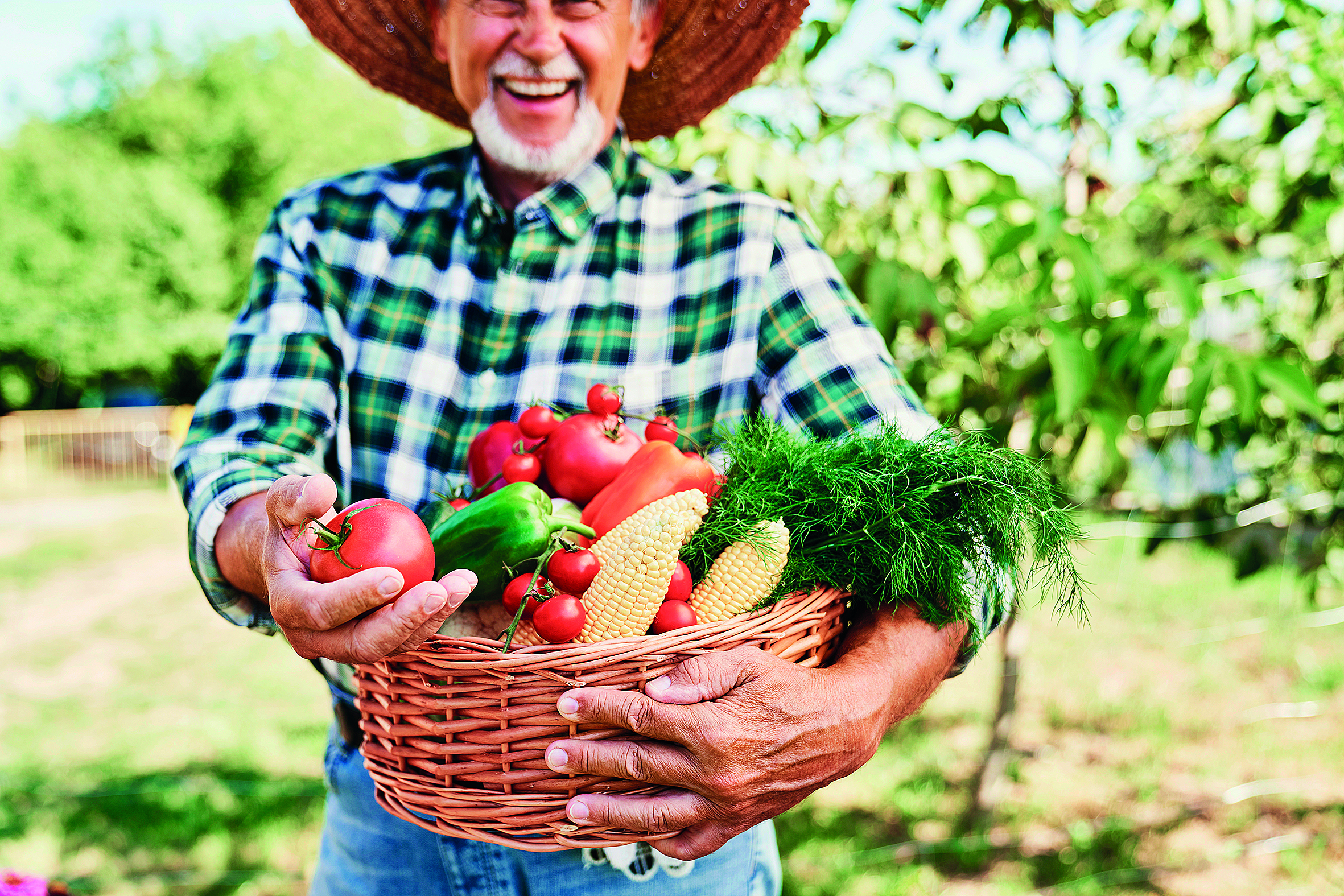 ποια-η-σχέση-της-δίαιτας-με-τη-μακροζωί-562334587
