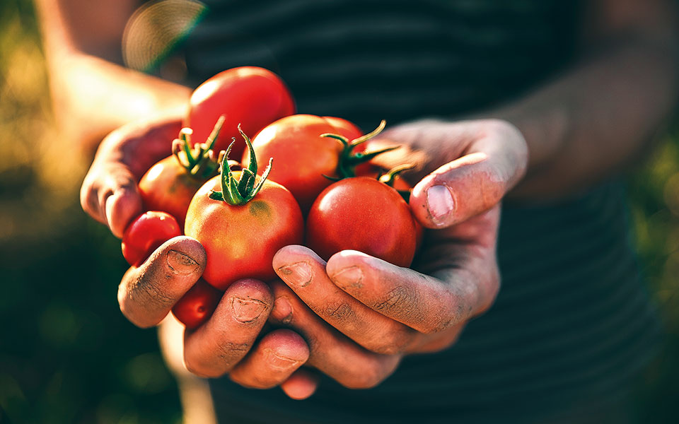 καρκίνος-του-προστάτη-και-διατροφή-562347238