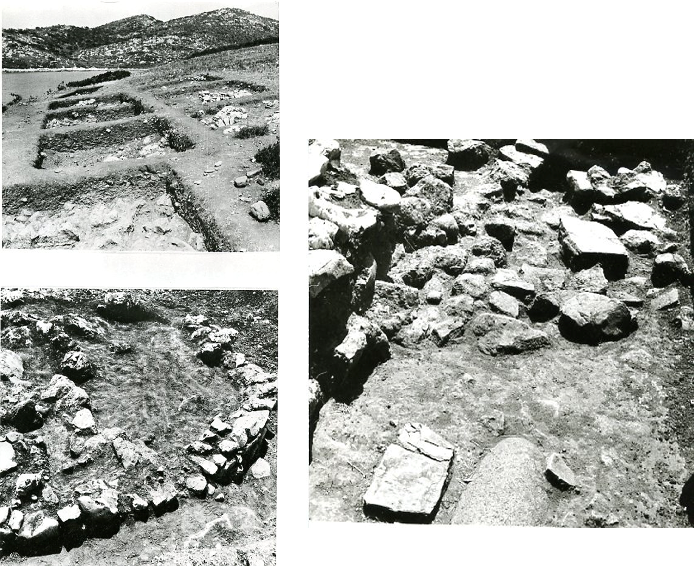 Αλόννησος: Οι «μοναδικοί» κάτοικοι του Αγίου Πέτρου, του αρχαιότερου βυθισμένου οικισμού στο Αιγαίο-1