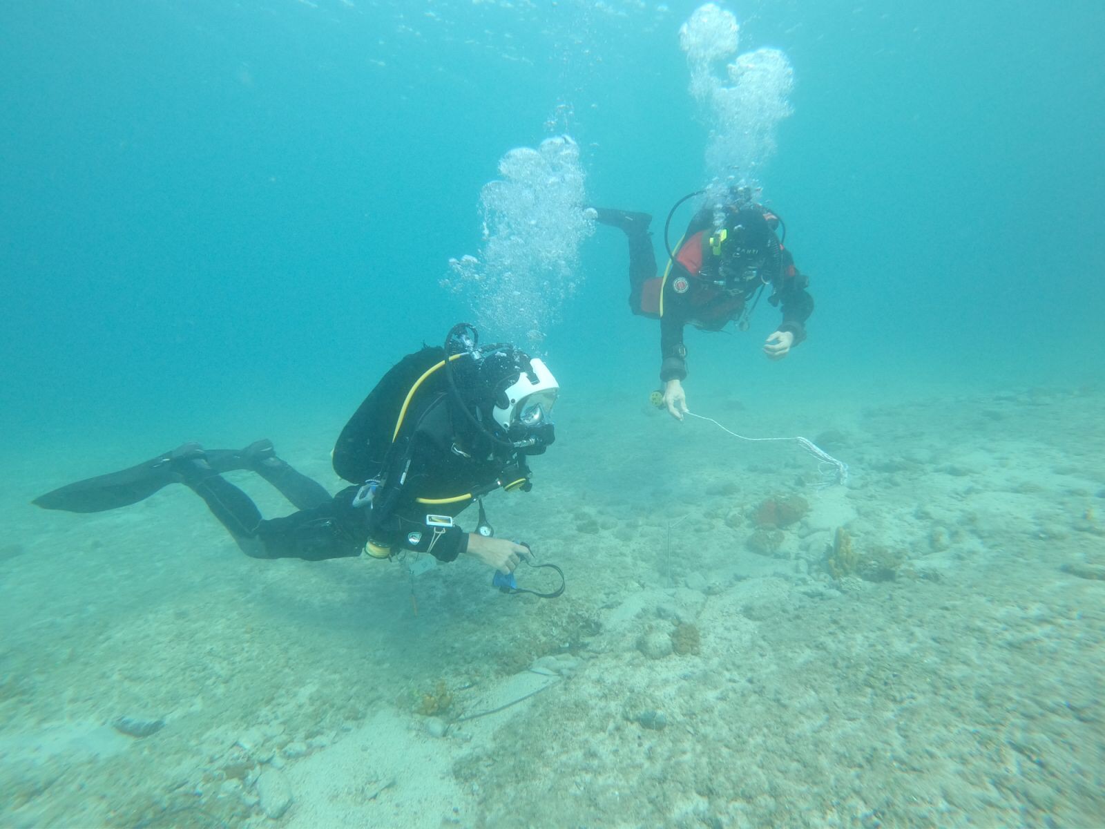 αλόννησος-οι-μοναδικοί-κάτοικοι-το-562374769