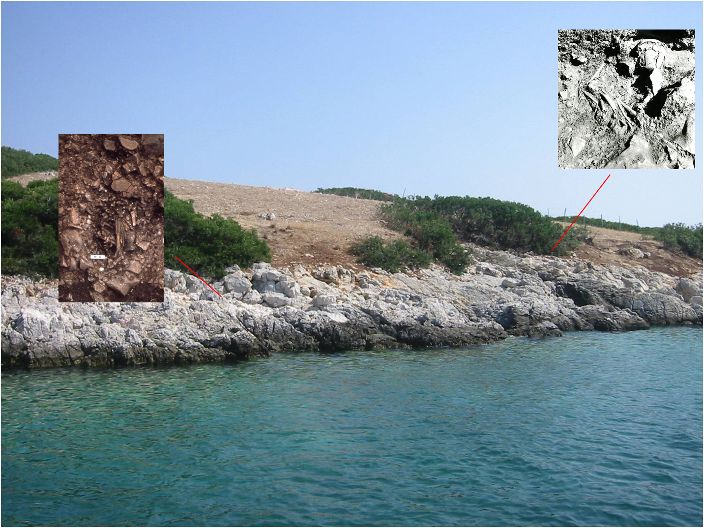 Αλόννησος: Οι «μοναδικοί» κάτοικοι του Αγίου Πέτρου, του αρχαιότερου βυθισμένου οικισμού στο Αιγαίο-2