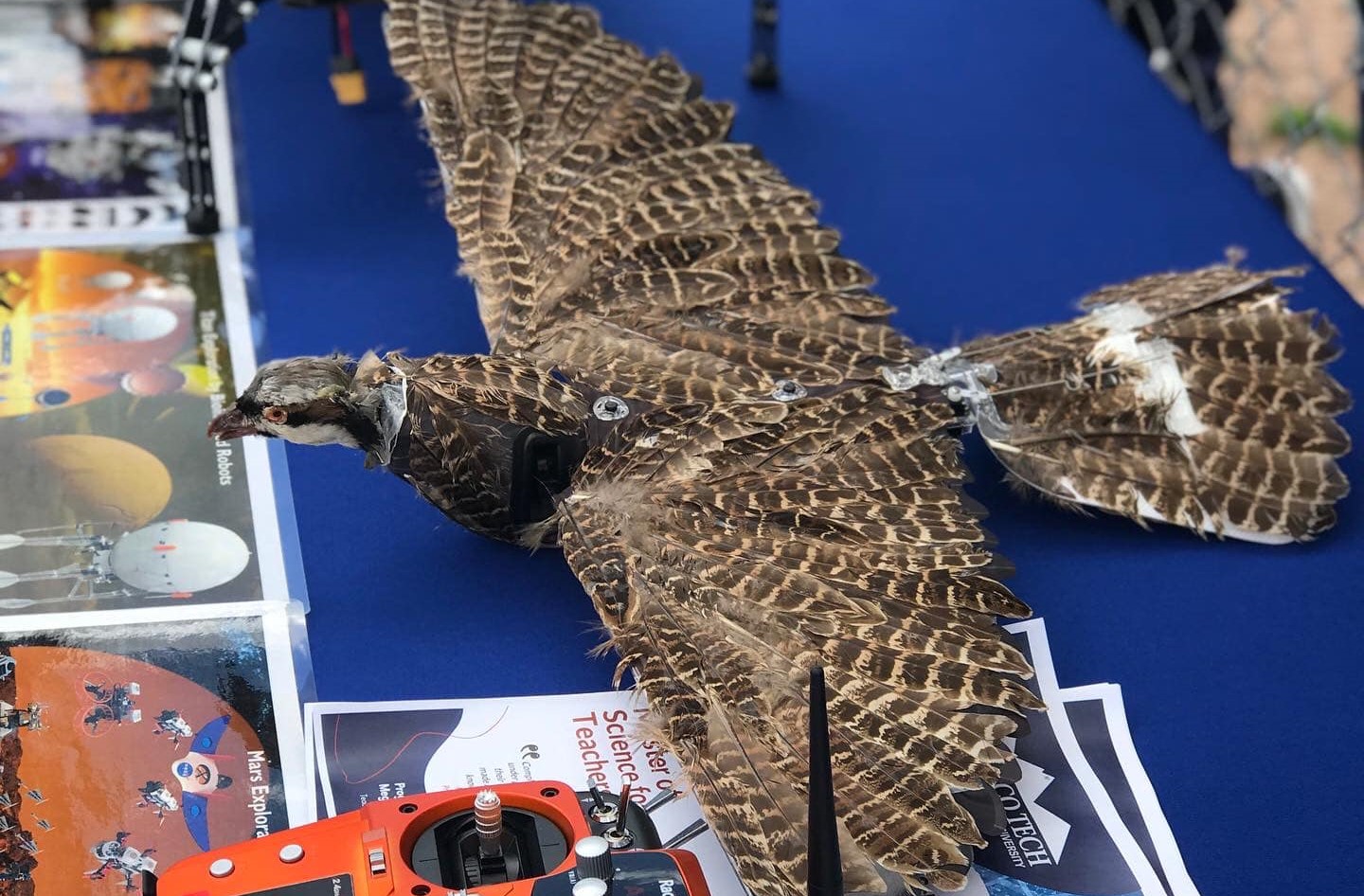 επιστήμονες-δίνουν-δεύτερη-ζωή-σε-π-562373695