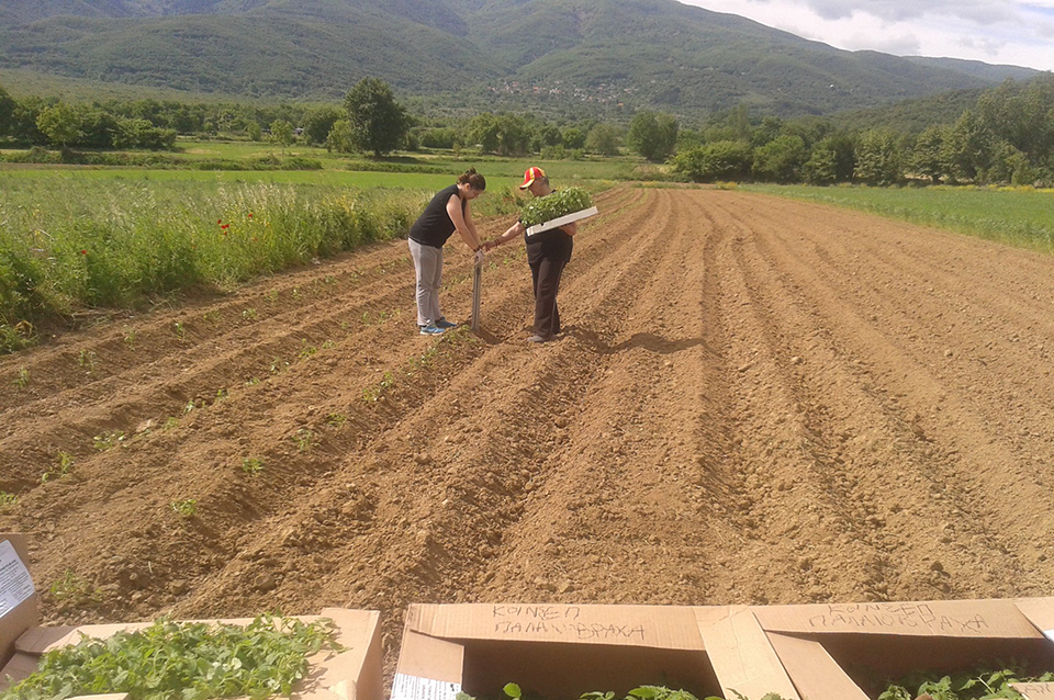 Μπορεί να «αναστηθεί» το χωριό;-1