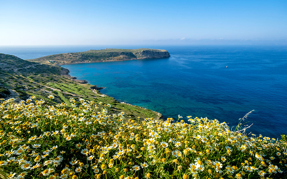 στη-σητεία-ξέρουν-να-περνούν-καλά-το-πά-562371163