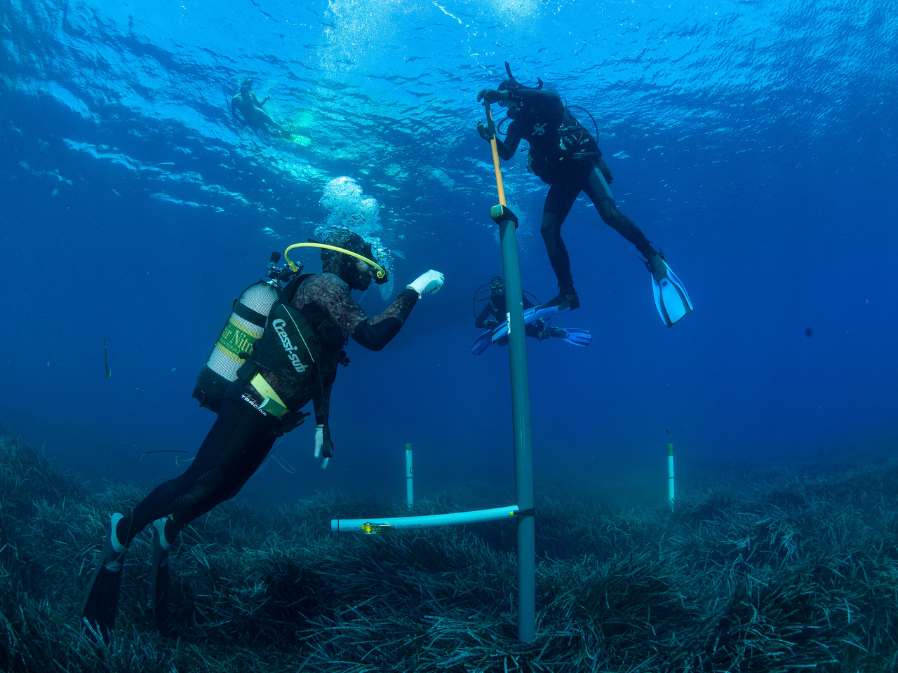 χαρτογραφούν-τα-αρχέγονα-λιβάδια-της-562393369