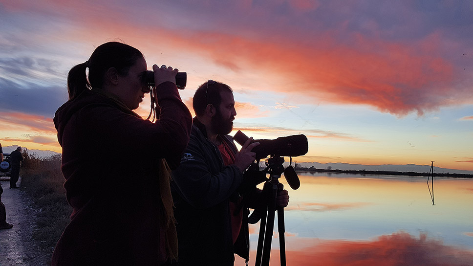 7 ανοιξιάτικες ιδέες για να συνδεθείτε με τη φύση-3