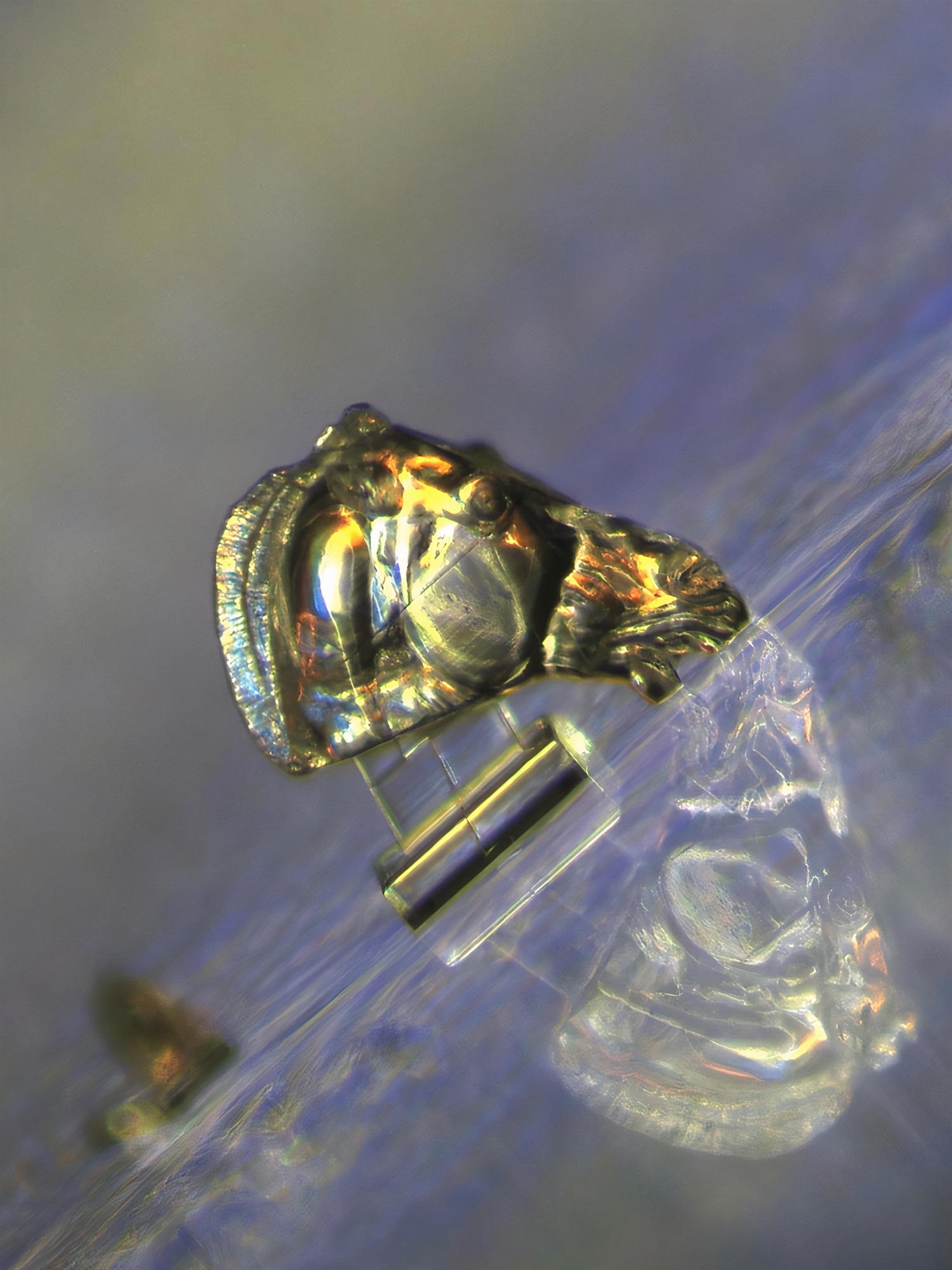 αγάπη-μου-συρρίκνωσα-τα-γλυπτά-562379473