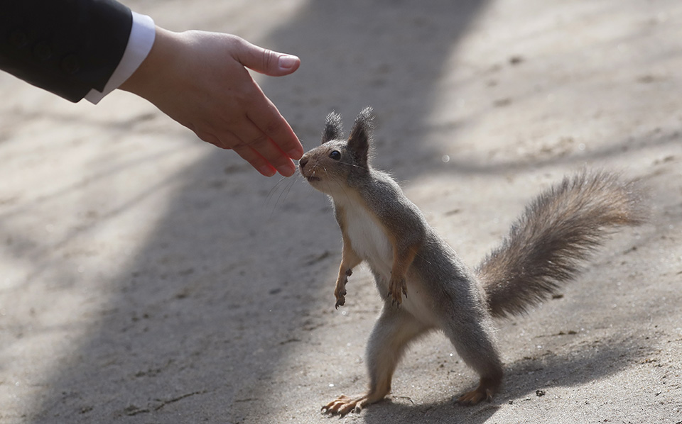 Φωτογραφική καταγραφή-2