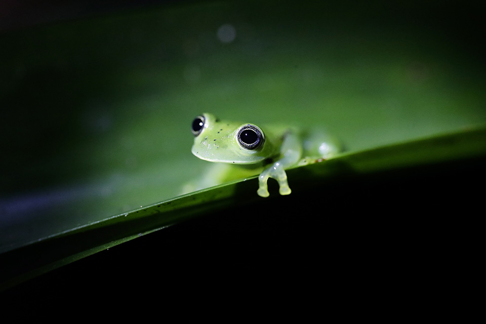 φωτογραφική-καταγραφή-562357591