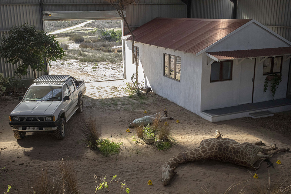 Επιστροφή στο χωριό-2