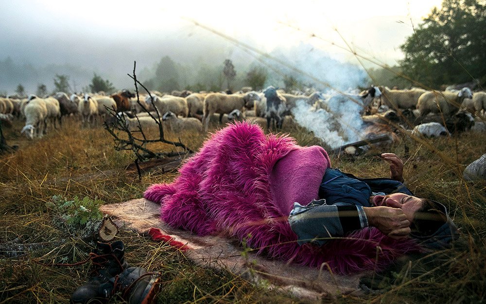 διάβα-οι-νομάδες-βοσκοί-πρωταγωνιστο-562385941