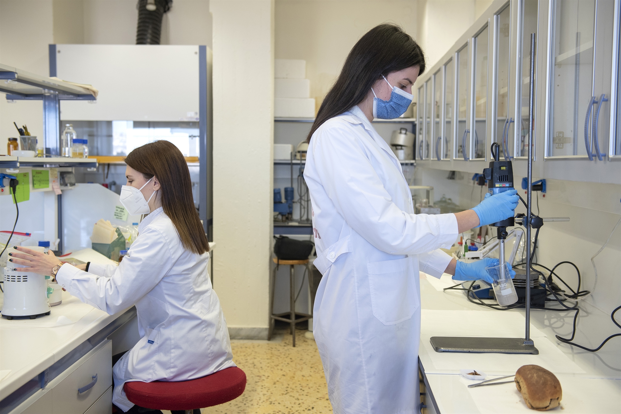 Εκτρέφουμε κατσαρίδες υψηλής ποιότητας-2