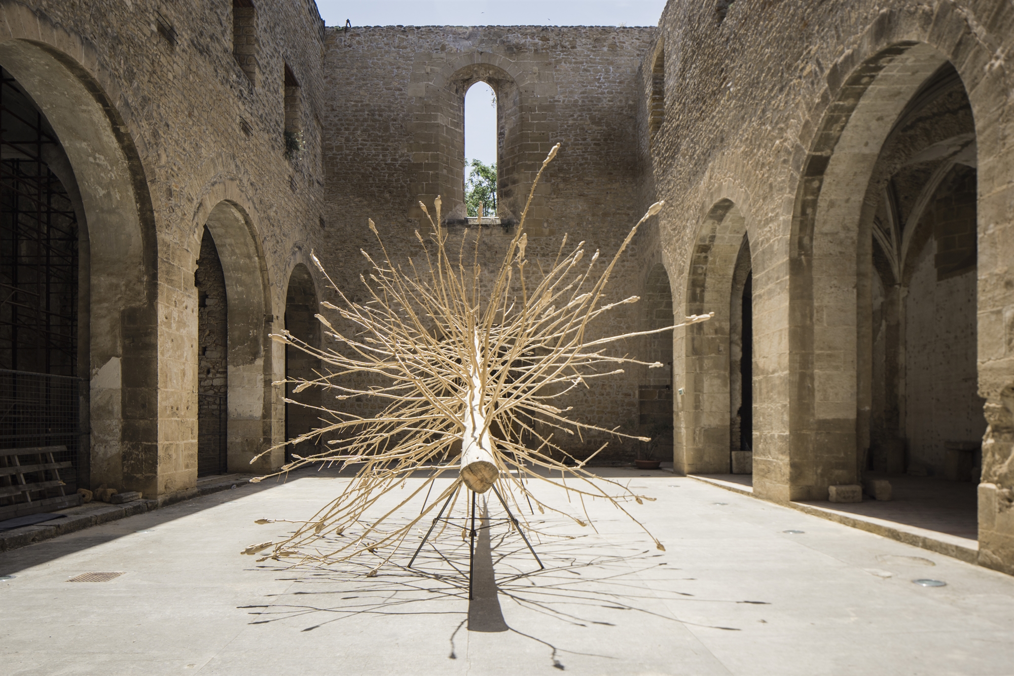 ιστορίες-της-μαφίας-σε-ένα-μουσείο-562356058