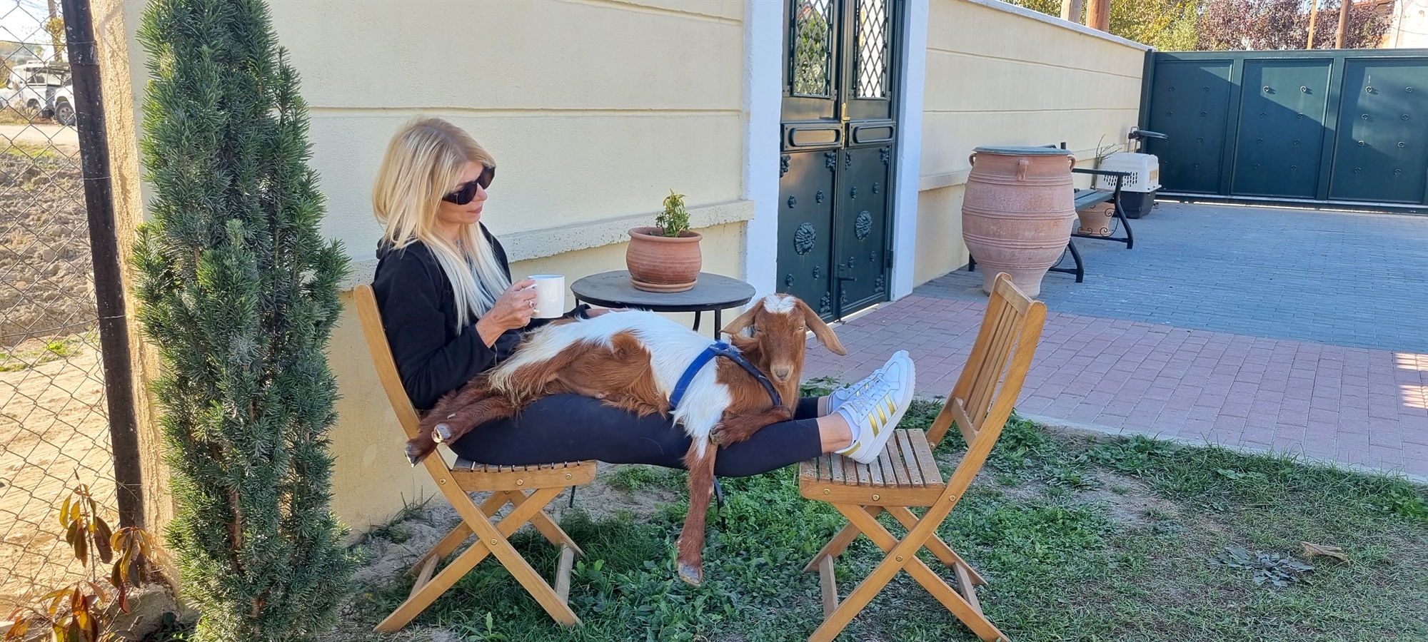 το-πάσχα-των-χορτοφάγων-562370278