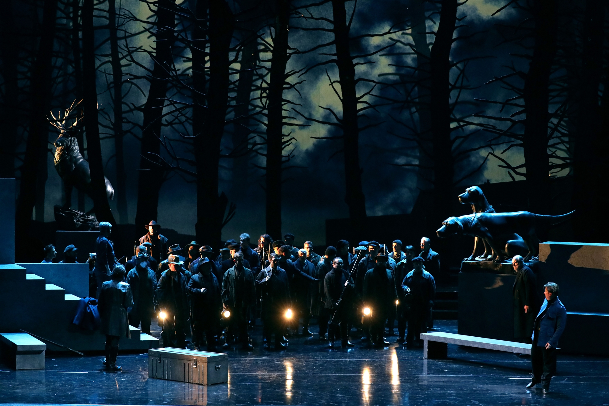 γ-κόκκος-στην-κ-η-δική-μου-λουτσία-562372465