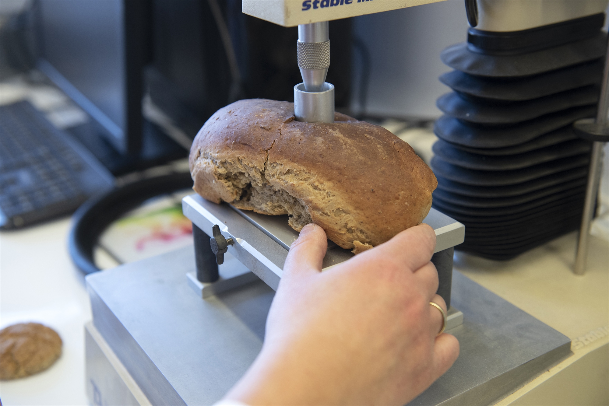 Εκτρέφουμε κατσαρίδες υψηλής ποιότητας-3