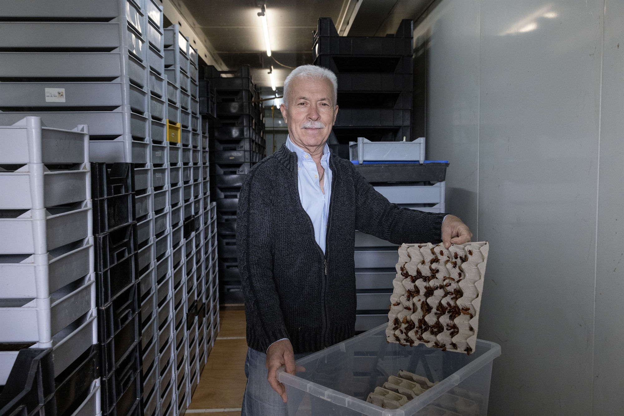 εκτρέφουμε-κατσαρίδες-υψηλής-ποιότη-562363030