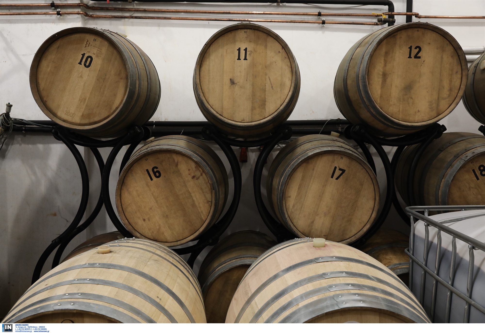 100-ελληνικά-κρασιά-με-αυτόχθονες-ζυμομύ-562370443