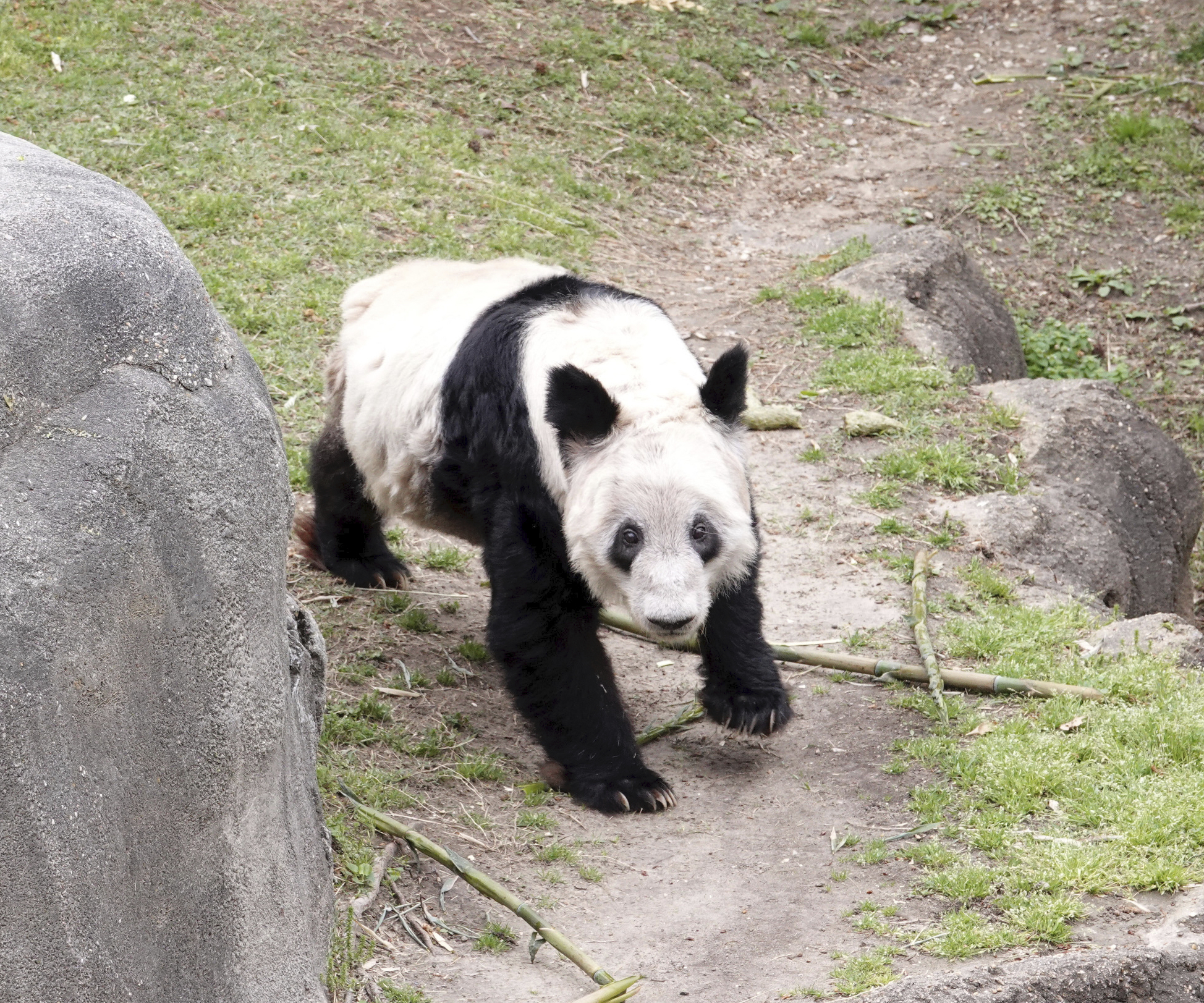 πάρτι-για-τη-για-για-το-πάντα-που-επιστ-562372372