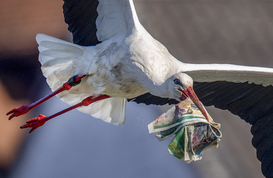 Μουσείο Σύγχρονης Τέχνης και Λυρική-1