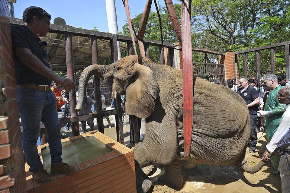 Φωτογραφική καταγραφή-1