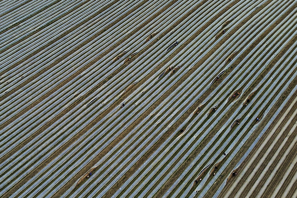 Θερμοκρασίες καλοκαιριού-2