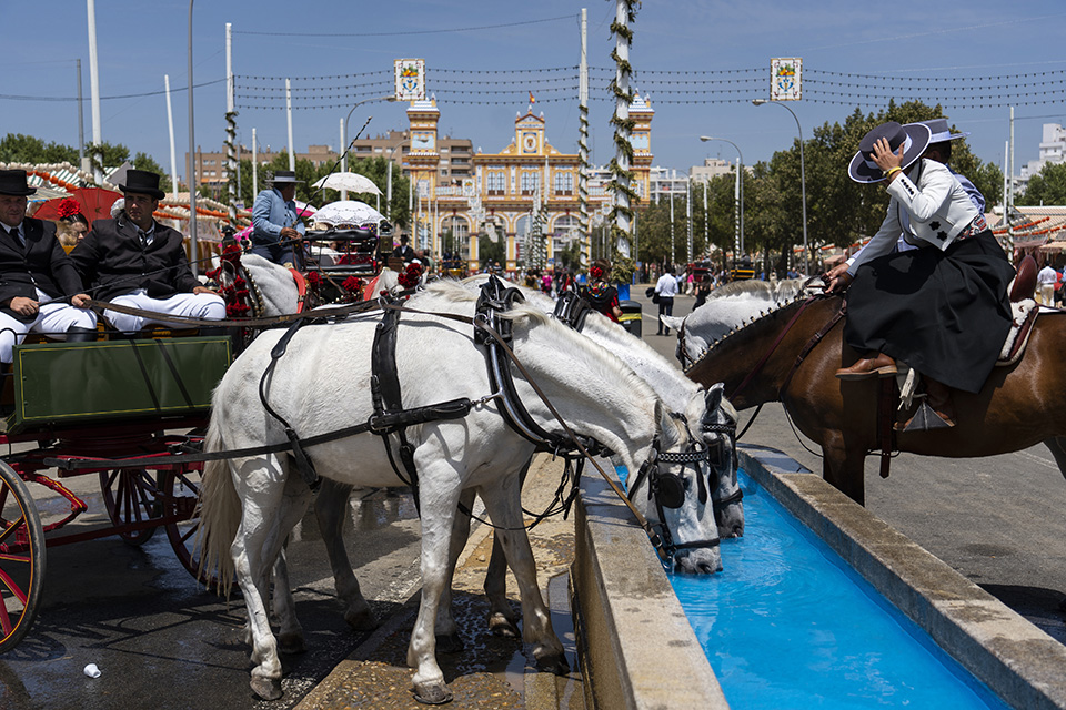 θερμοκρασίες-καλοκαιριού-562392256