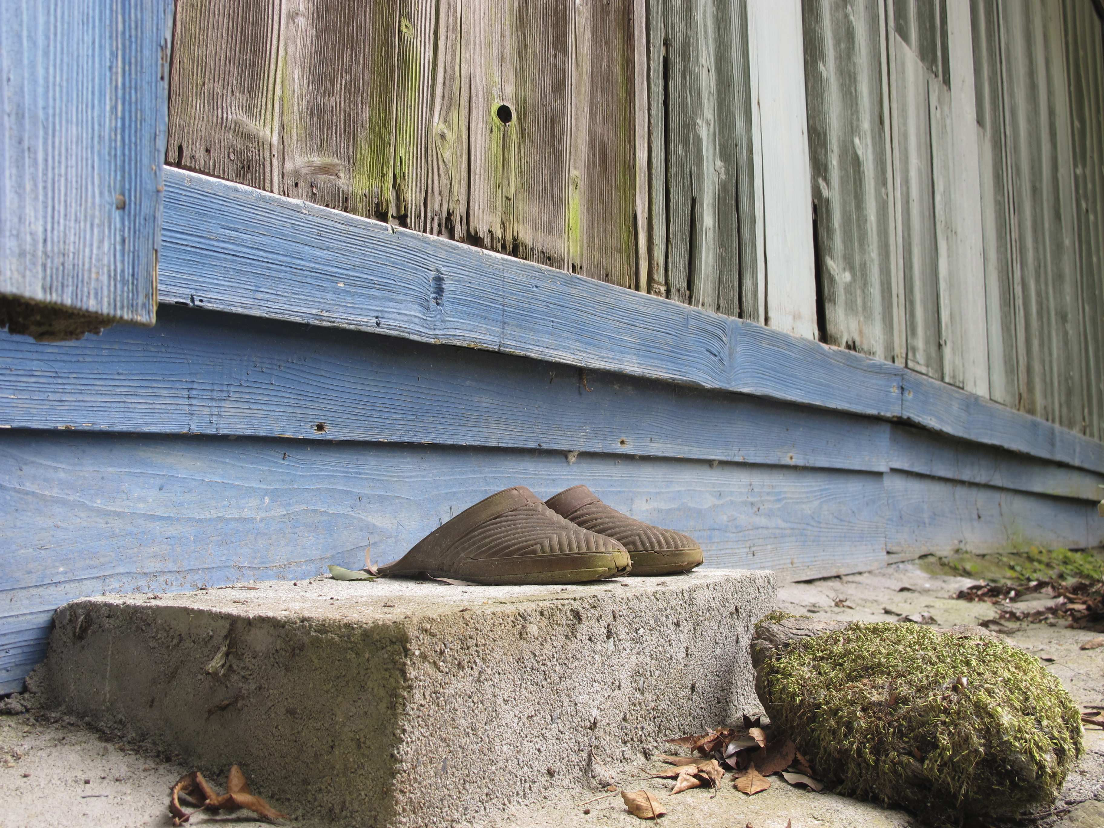 Τι συμβαίνει με τα άδεια σπίτια της Ιαπωνίας-3