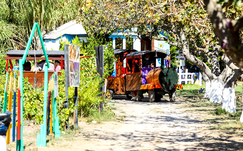 φεστιβάλ-της-άνοιξης-στο-πολιτιστικό-562359055
