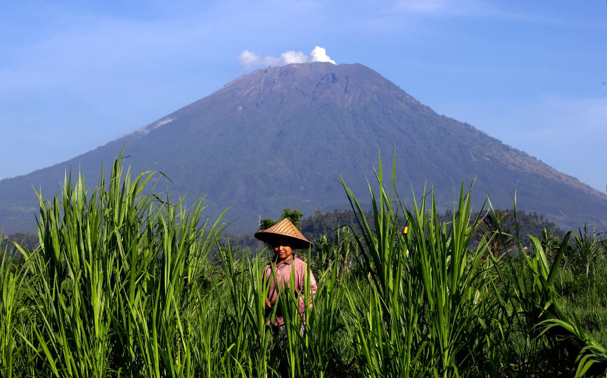 μπαλί-απέλασαν-ρώσο-τουρίστα-μετά-από-562358479