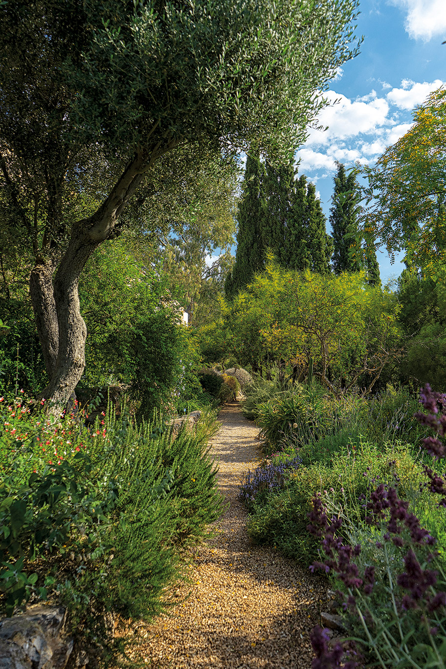 7 ανοιξιάτικες ιδέες για να συνδεθείτε με τη φύση-2