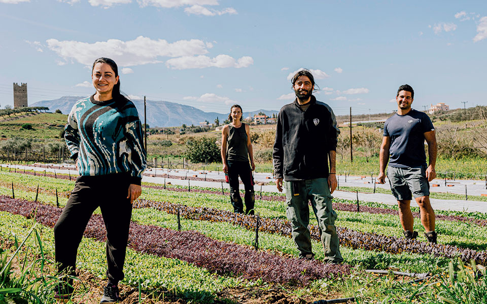 νέοι-αγρότες-στην-αττική-562367791