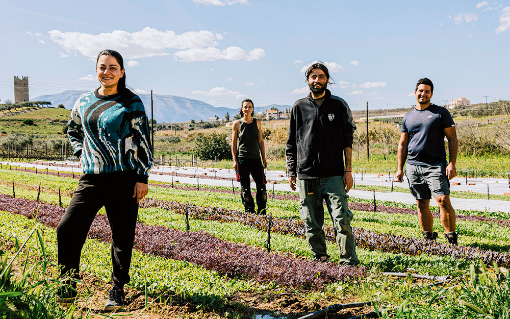 από-το-γραφείο-στο-χωράφι-στο-περιοδ-562361182