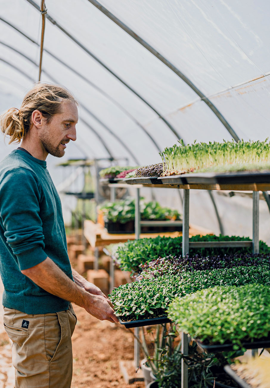 Νέοι αγρότες στην Αττική-5