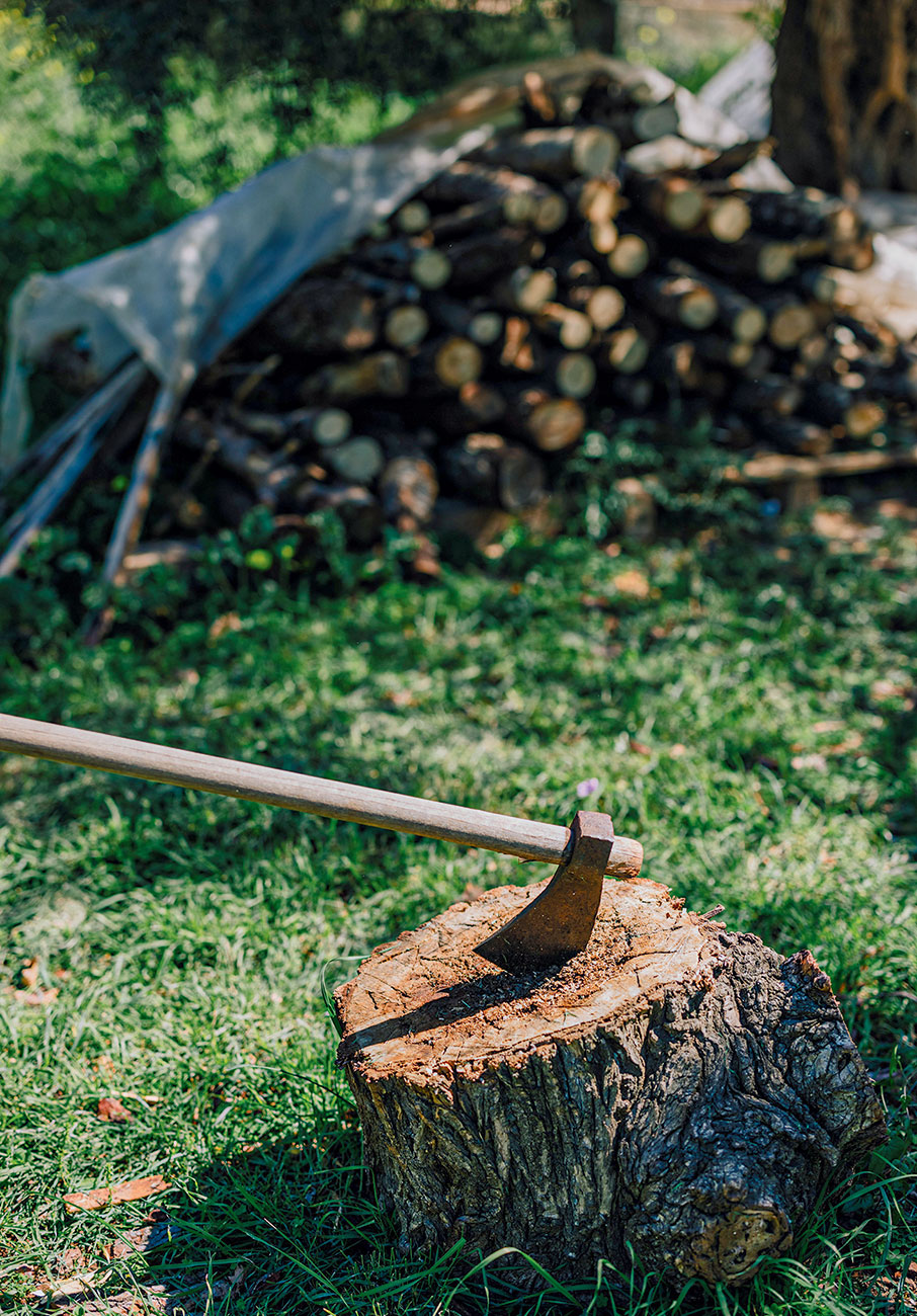 Νέοι αγρότες στην Αττική-10