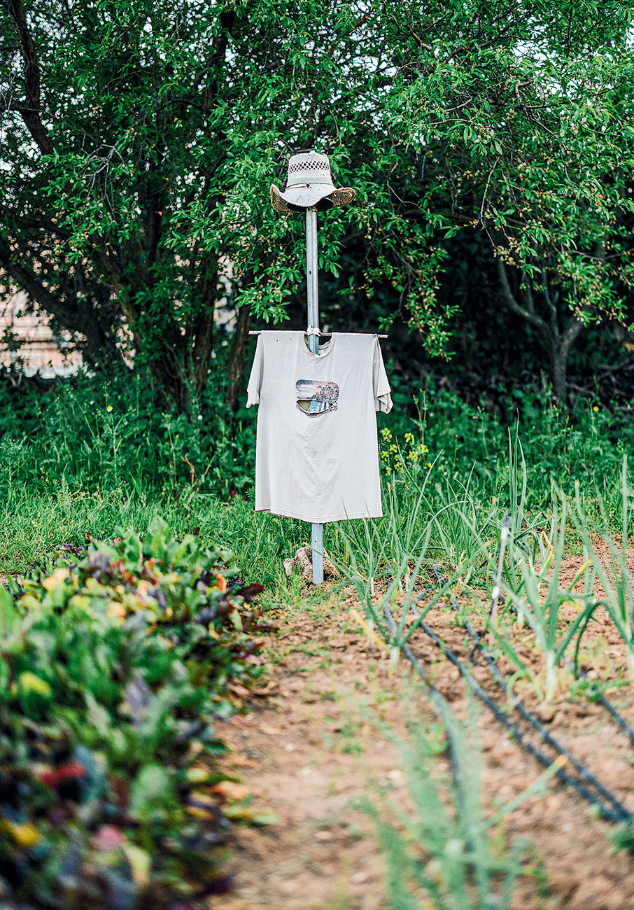 Νέοι αγρότες στην Αττική-8