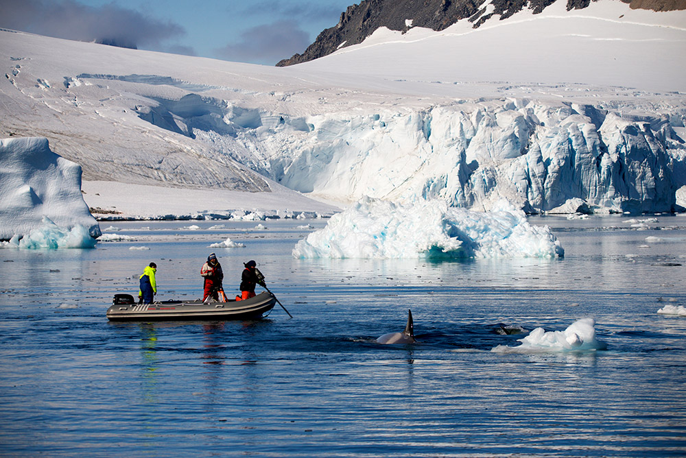 Frozen Planet II: H συναρπαστική σειρά ντοκιμαντέρ του BBC έρχεται στον ΣΚΑΪ σε α’ τηλεοπτική μετάδοση-2