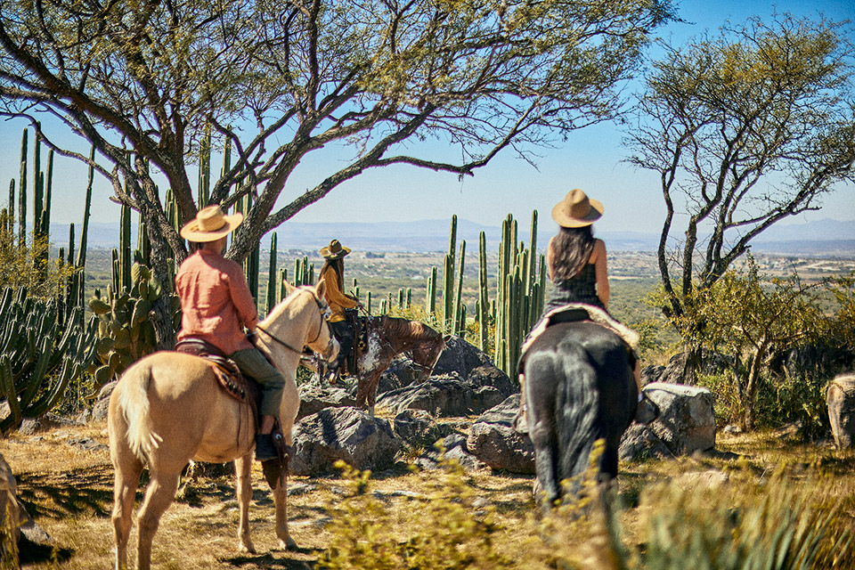 Ισχυρές δόσεις εξωτισμού στο Cap Karoso-1