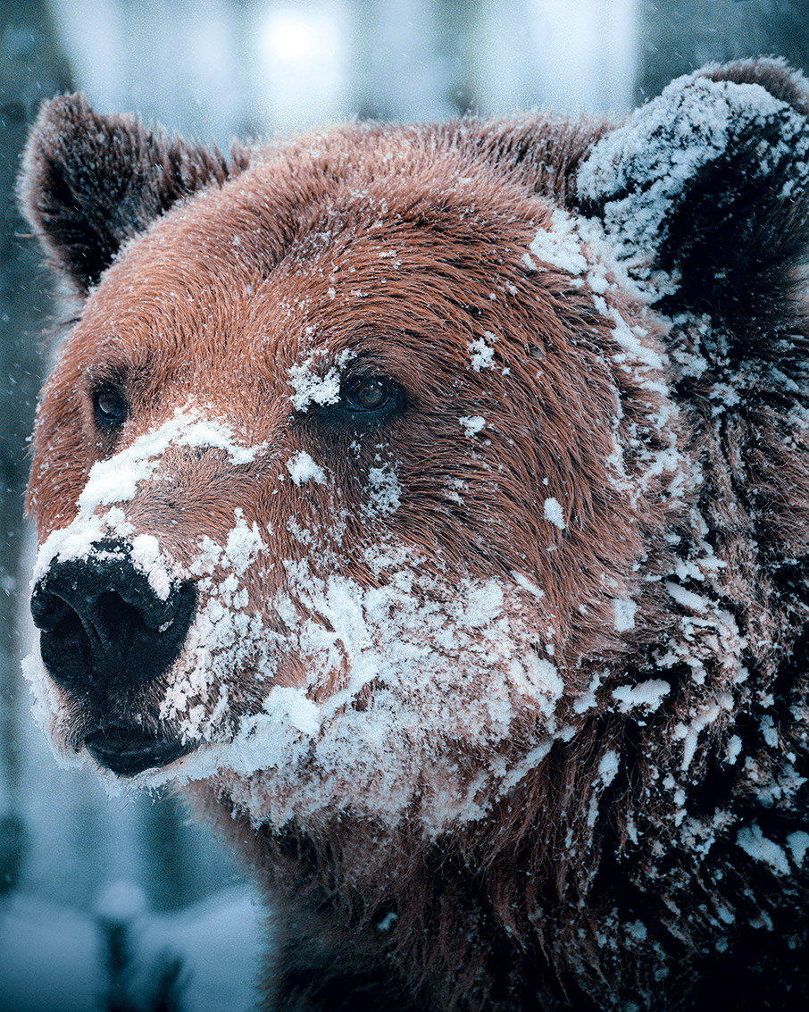Τα τοπία του Γιώργου Ρουσόπουλου που κέρδισαν στον διαγωνισμό Sony World Photography-5